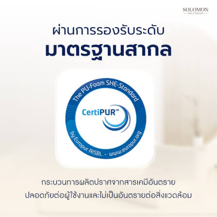 SOLOMON โซฟา โซฟาหนอนนุ่ม รุ่น MORI สีฟ้า_4